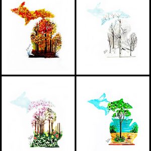 Michigan Seasons Prints - 4 Matted Prints of Michigan - Ready for 11 x 14 inch frames